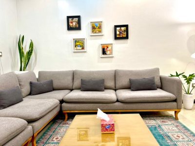 آپارتمان مبله ی دو خواب شیک با تراس( استخر) در اقدسیه