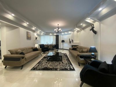 آپارتمان  شیک و تمیز مبله .دوخواب با استخر جردن( نلسون ماندلا )