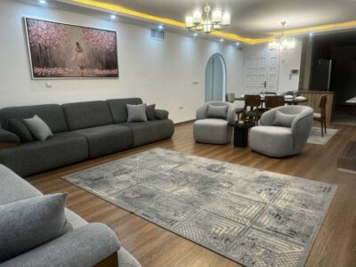 آپارتمان مبله ی دو خواب در سعادت آباد(حیاط دار اسپیناس پالاس)