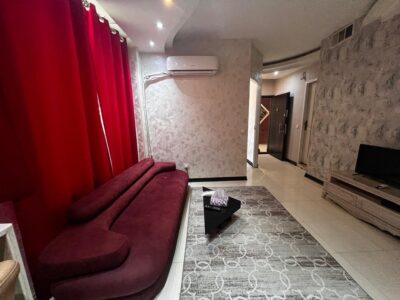 آپارتمان مبله یکخواب جمالزاده(انقلاب)