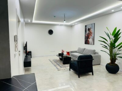 آپارتمان مبله نوساز دو خواب فاطمی (مطهری)